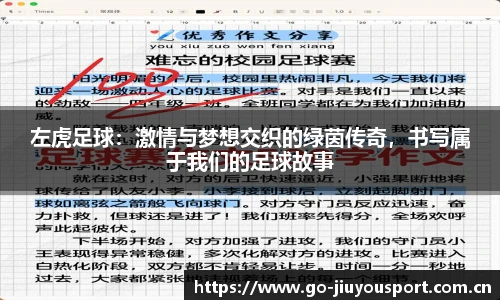 左虎足球：激情与梦想交织的绿茵传奇，书写属于我们的足球故事